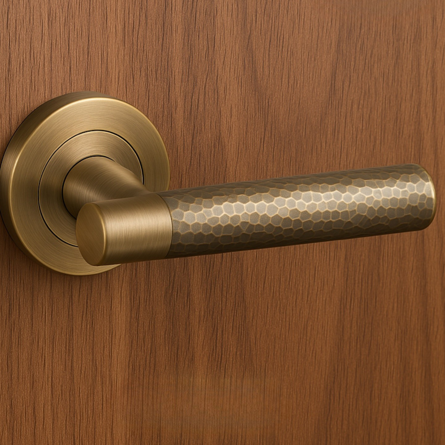 Brass door handle on a wooden door AceLine Max