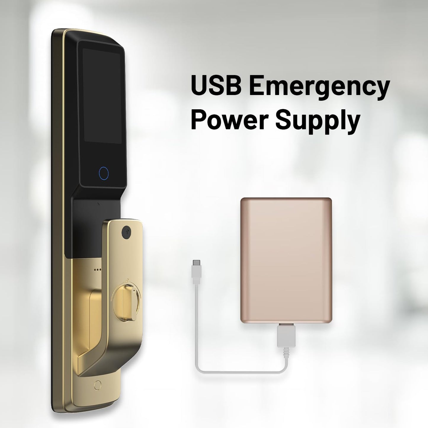A2 Sweden Viso Biometric Smart Door Lock
