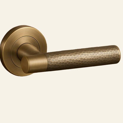 Brass door handle on a wooden door AceLine Max