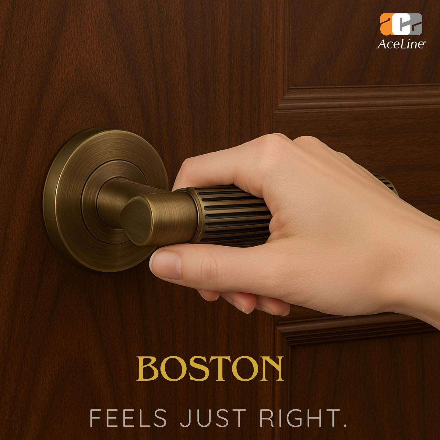 AceLine Boston Brass Door Handle