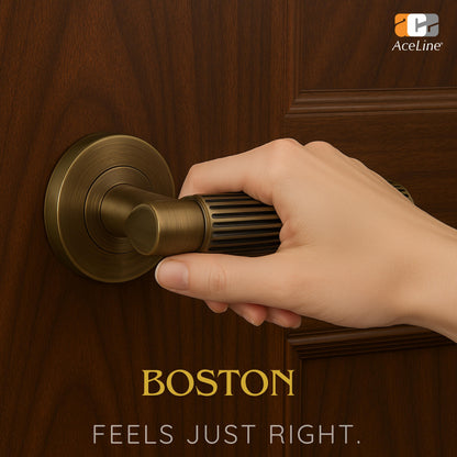AceLine Boston Brass Door Handle