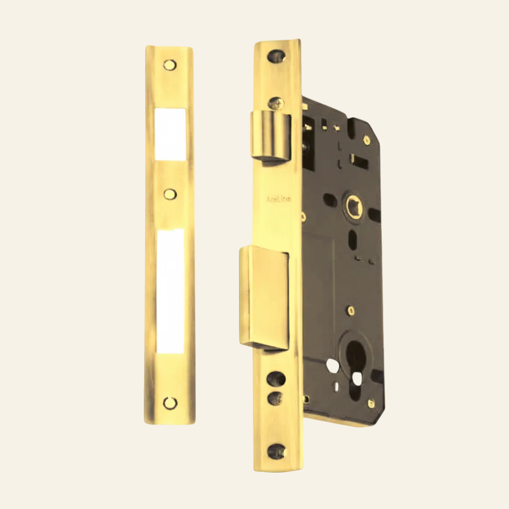 DOUBLE DOOR LOCK BODY