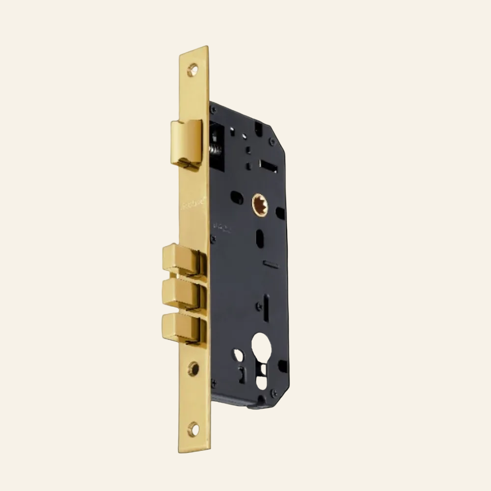 LOCK BODY